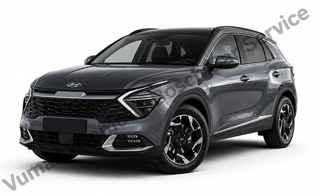 Bostancı Hyundai Servisi