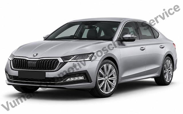 Bostancı Skoda Servisi 